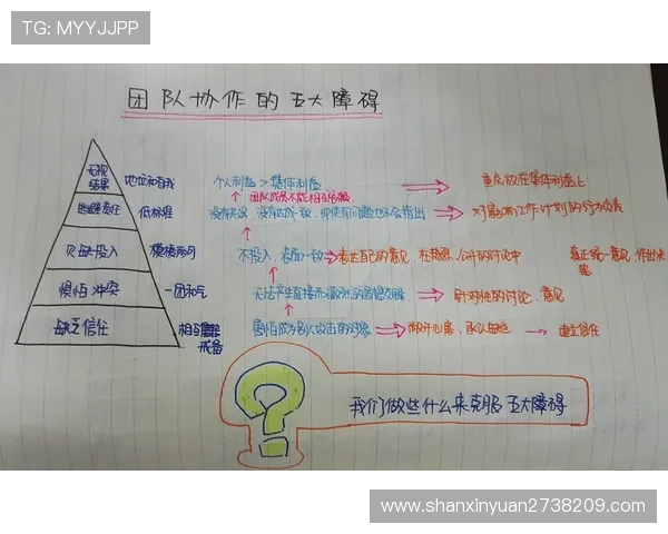 重庆羽毛球队的团队协作与默契配合探讨与分析